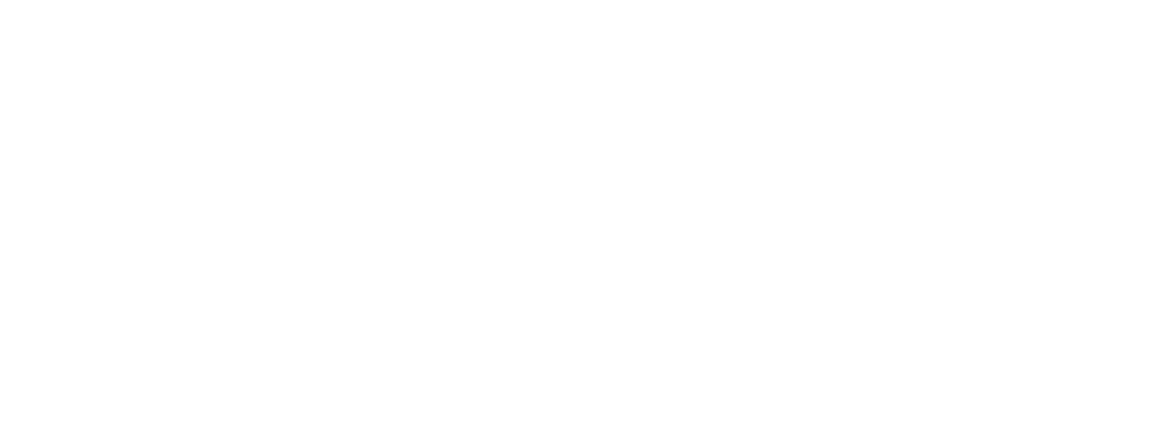 Step Partners